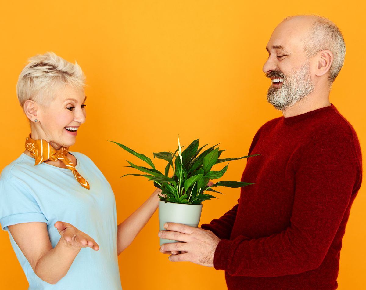 A Gift That Grows: Why Potted Plants Are the Ultimate Present