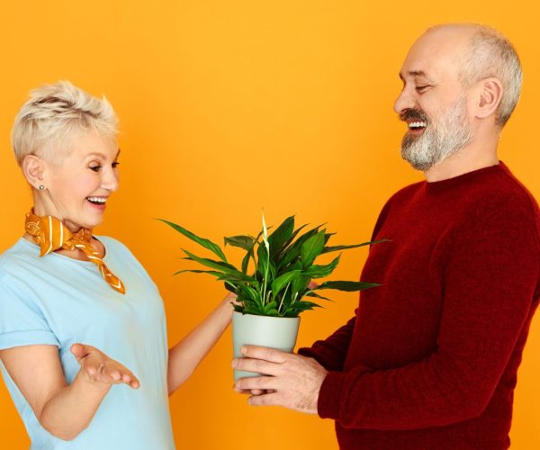 A Gift That Grows: Why Potted Plants Are the Ultimate Present